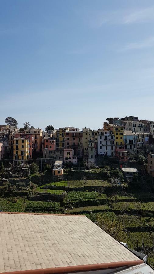 Cecio 5 Terre Corniglia