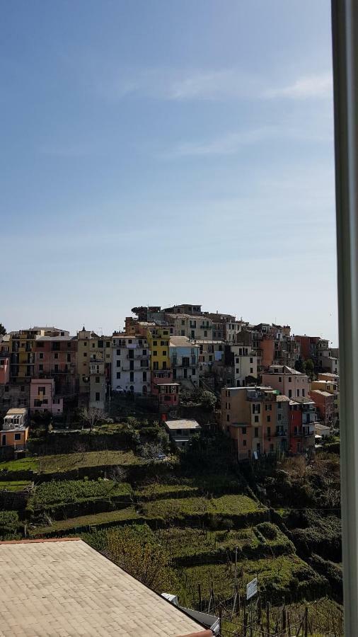 Cecio 5 Terre